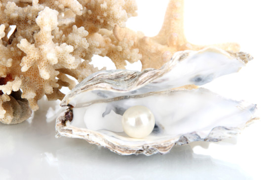 Oyster & Pearl